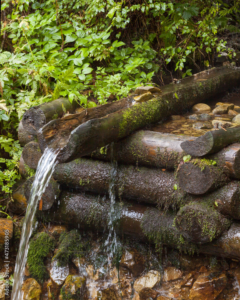 Fototapeta premium Mountain brook. Wooden log well.