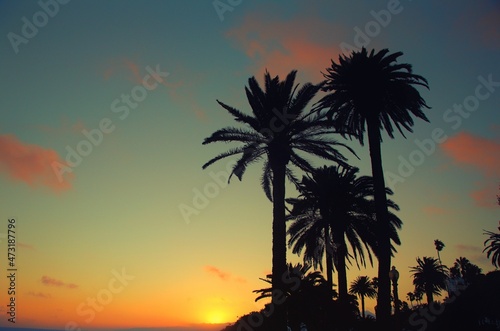 Palm Tree Sunset 1