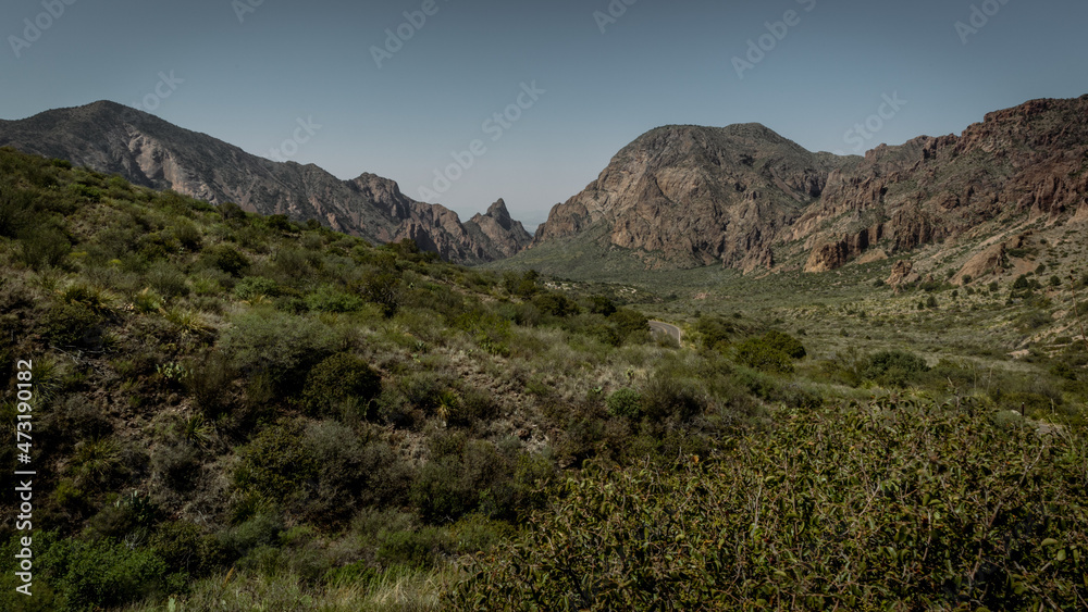 The Basin, Big bend National park, Texas