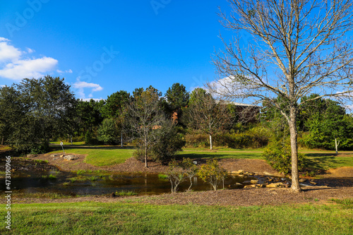 a stunning sunny day in the park with lush green and autumn colored trees, vast green grass and a running river with blue sky and powerful clouds at Garrard Landing Park in Alpharetta Georgia USA	 photo