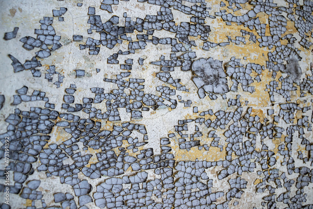 Naklejka premium texture of an old painted wall