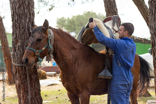 stable worker placing the saddle on a brown horse