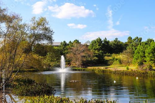 a stunning shot of the lake with a water fountain in the park surrounded by lush green and autumn colored trees with blue sky and powerful clouds at Garrard Landing Park in Alpharetta Georgia USA photo