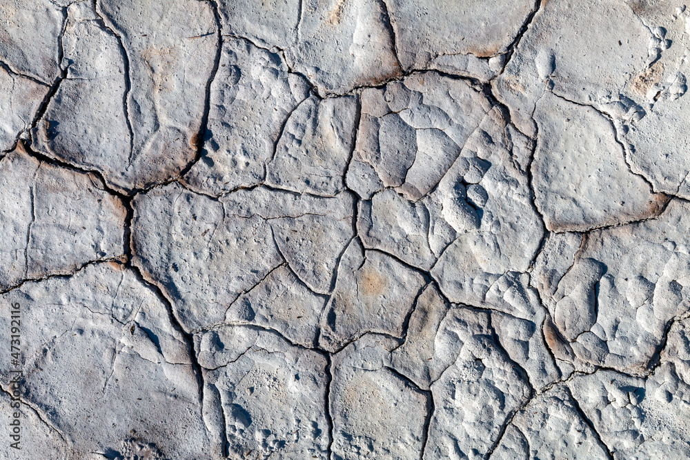Dry and cracked mud soil
