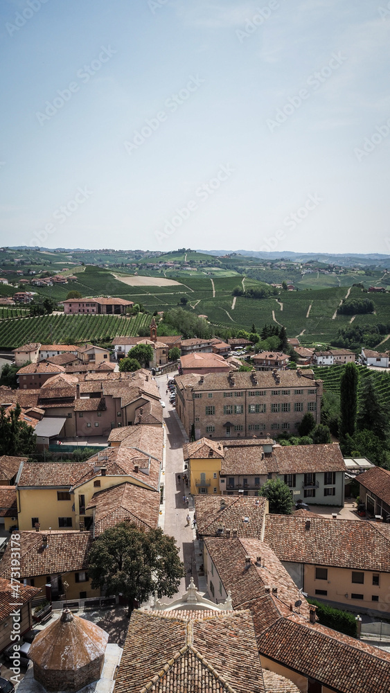 Langhe, the famous wine region in Piedmont, Italy