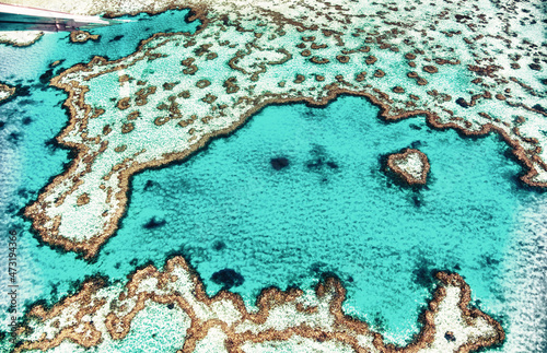 Fototapeta Naklejka Na Ścianę i Meble -  Aerial view of Heart Island, Whitsunday Islands Coral Reef of Queensland from the aircraft.