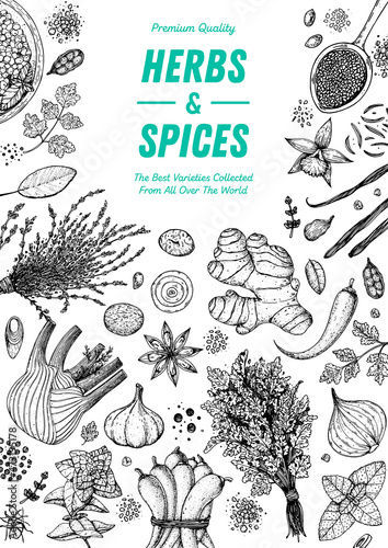 Herbs and spices hand drawn vector illustration. Aromatic plants. Hand drawn food sketch. Vintage illustration. Card design. Sketch style. Spice and herbs black and white design.