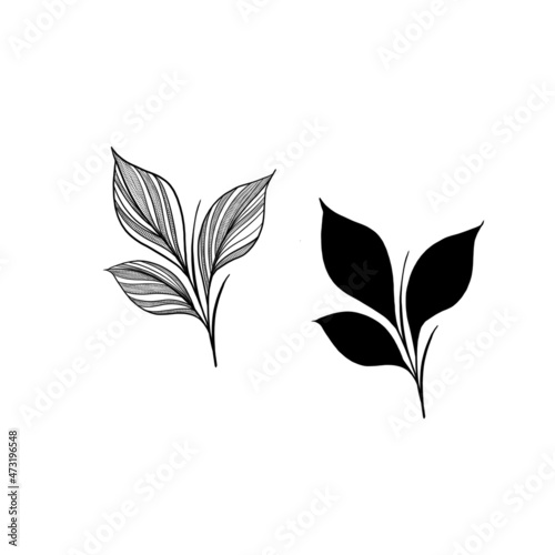 botany tattoo sketch - beautiful twig plant. Botanical element template for g...