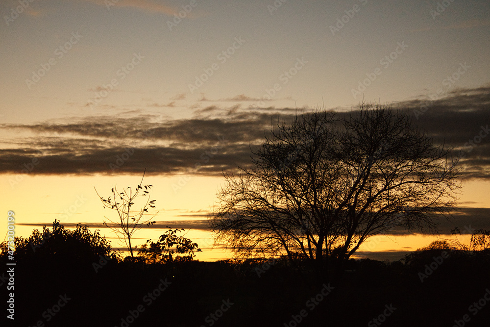 Sunset with burning sky behind the trees. Sunset with burning sky behind the trees.