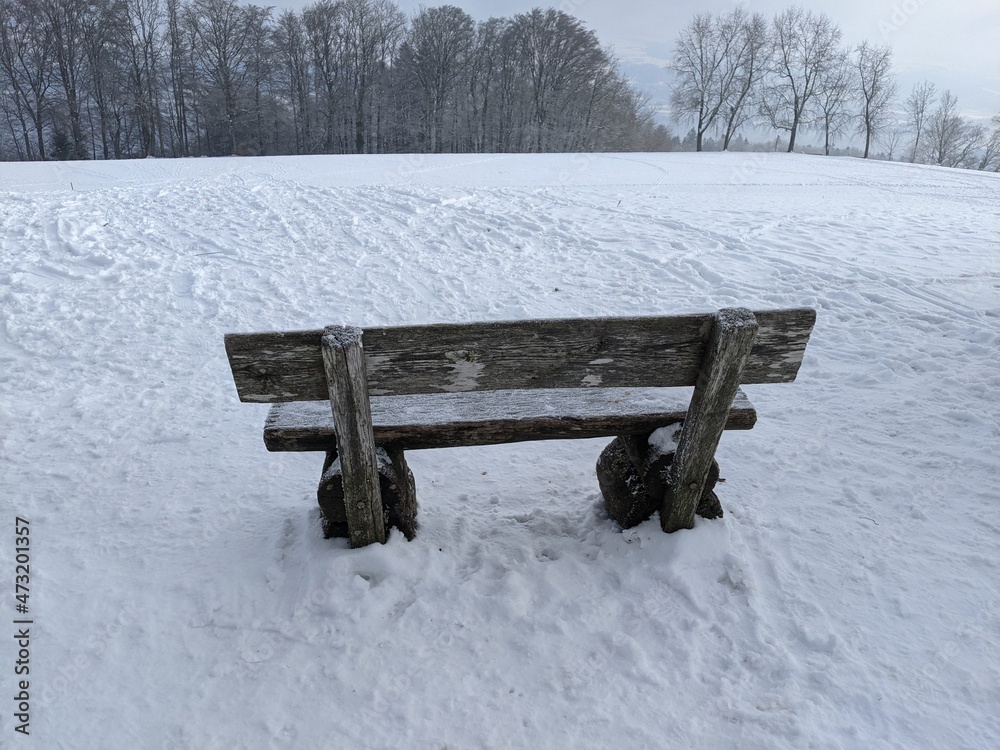 Eine Holzbank in einer Schneelandschaft auf dem Homberg am Hallwilersee in der Schweiz