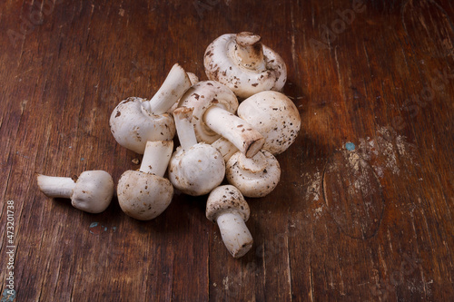 Small fresh raw forest champignons mushrooms on wooden table. Seasonal organic vegan-friendly vegetarian food. Close up, copy space.