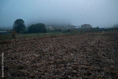 An autumn field in the morning fog in the deep Spain.
