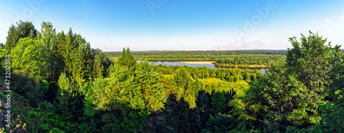 panorama of the forest and the river on a sunny summer day