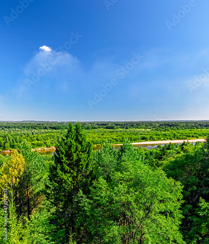 view of the forest and the river on a sunny summer day