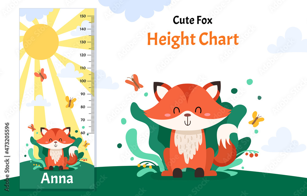 Fototapeta premium Kids height chart with cute fox character. Vector isolated illustration with funny animal on a bright background
