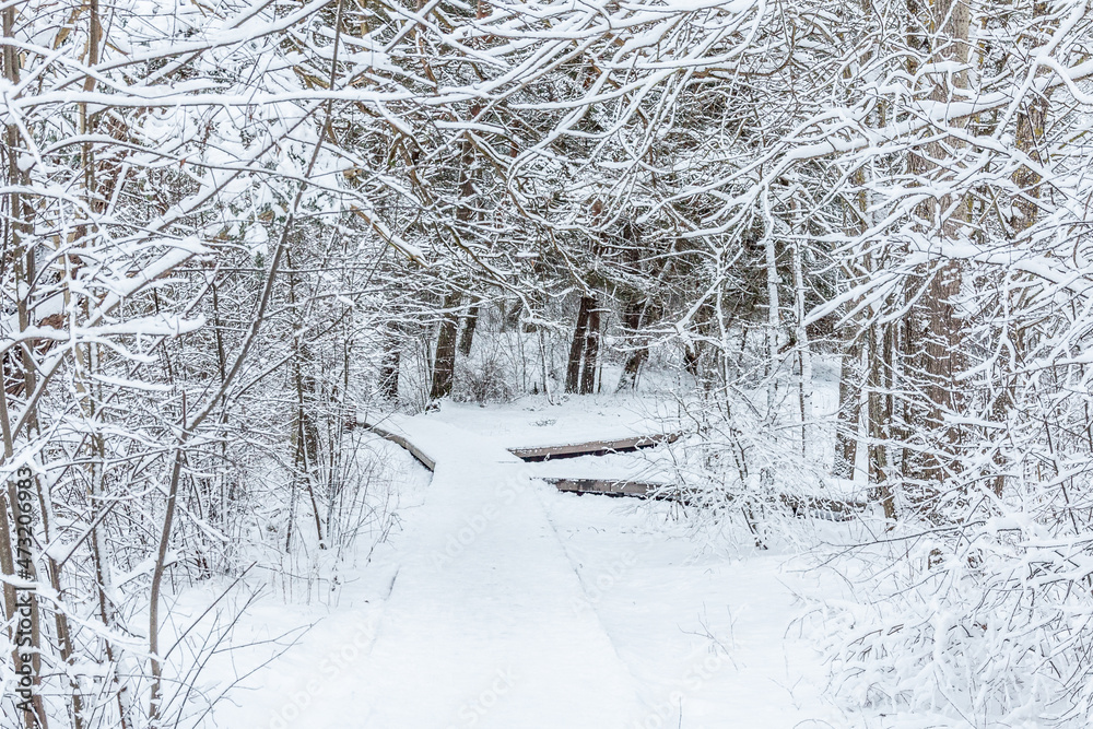 Beautiful winter landscape with wooden footbridge covered with snow Beautiful winter landscape with wooden footbridge covered with snow