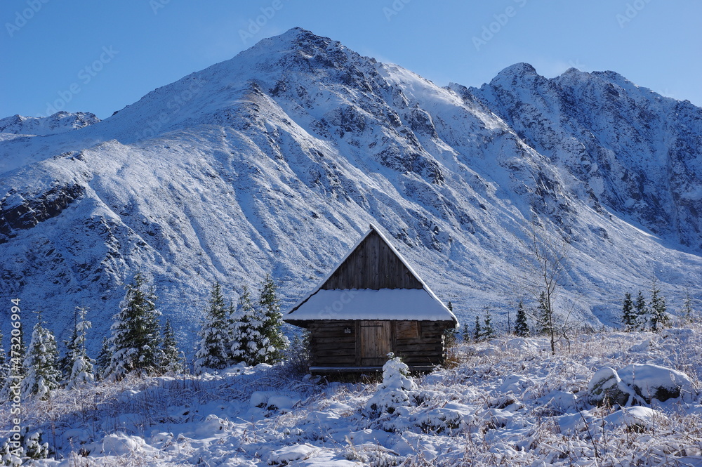 Zimowy pejzaż z Doliny Gąsienicowej w Tatrach  - obrazy, fototapety, plakaty 