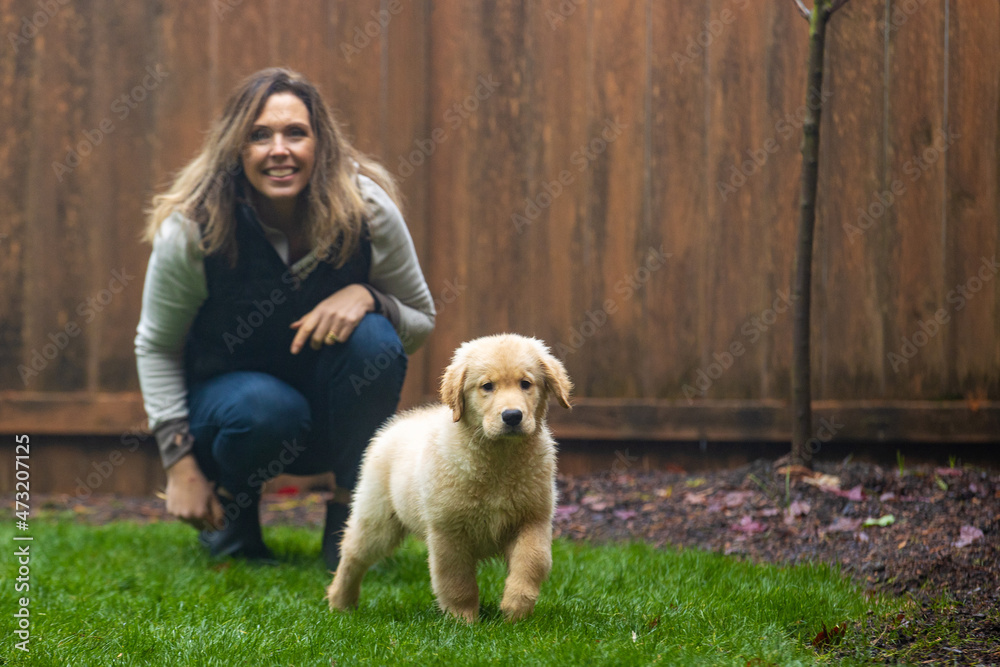 Woman playing with her golden retriever puppy dog in backyard Woman playing with her golden retriever puppy dog in backyard