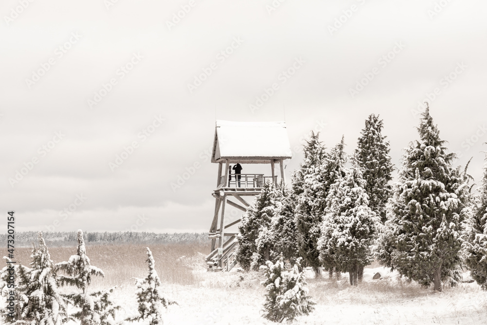 Wooden watchtower near from lake in cold and snowy winter Wooden watchtower near from lake in cold and snowy winter