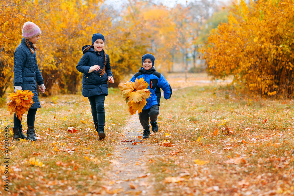Children running in autumn city park. Beautiful nature, trees with yellow leaves.