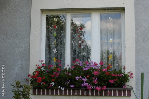 window with flowers