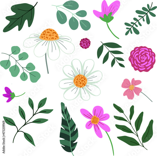 Summer flowers with eucalyptus leafs vector design elements