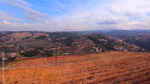 Vineyard timelapse in autumn season. Calm before the storm. Dark clouds timelapse