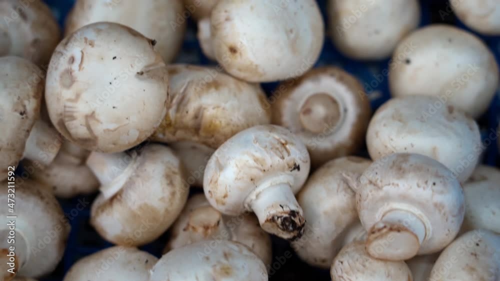 Mushrooms and champignons on supermarket shelves Mushrooms and champignons on supermarket shelves