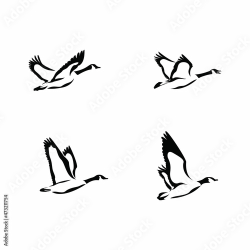 Goose animal Illustration bundle vector