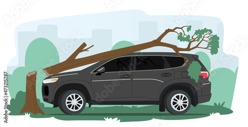Broken Car with Tree Fall on Automobile Roof and Windshield. Nature Disaster, Accident in City or Suburban Area