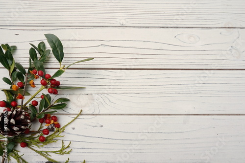 Bittersweet with Red and Yellow Berries in Lower Right Corner of White Wood Paneling with Room for Text
