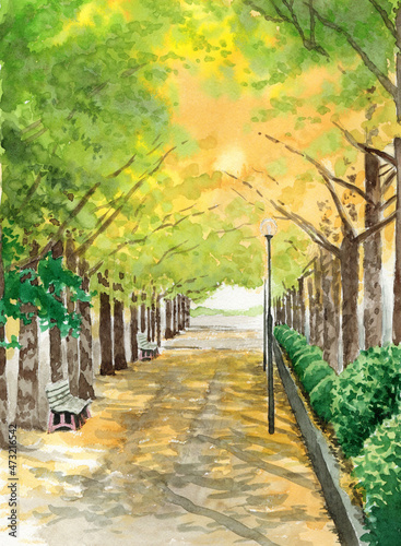 アナログ水彩画秋のイチョウ並木