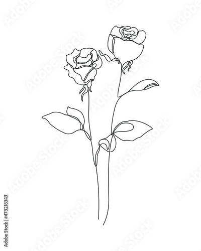 a one line art illustration of roses. a continuous hand drawn drawing in vector. an illustration for an art print, tattoo, beauty product or shop, etc.