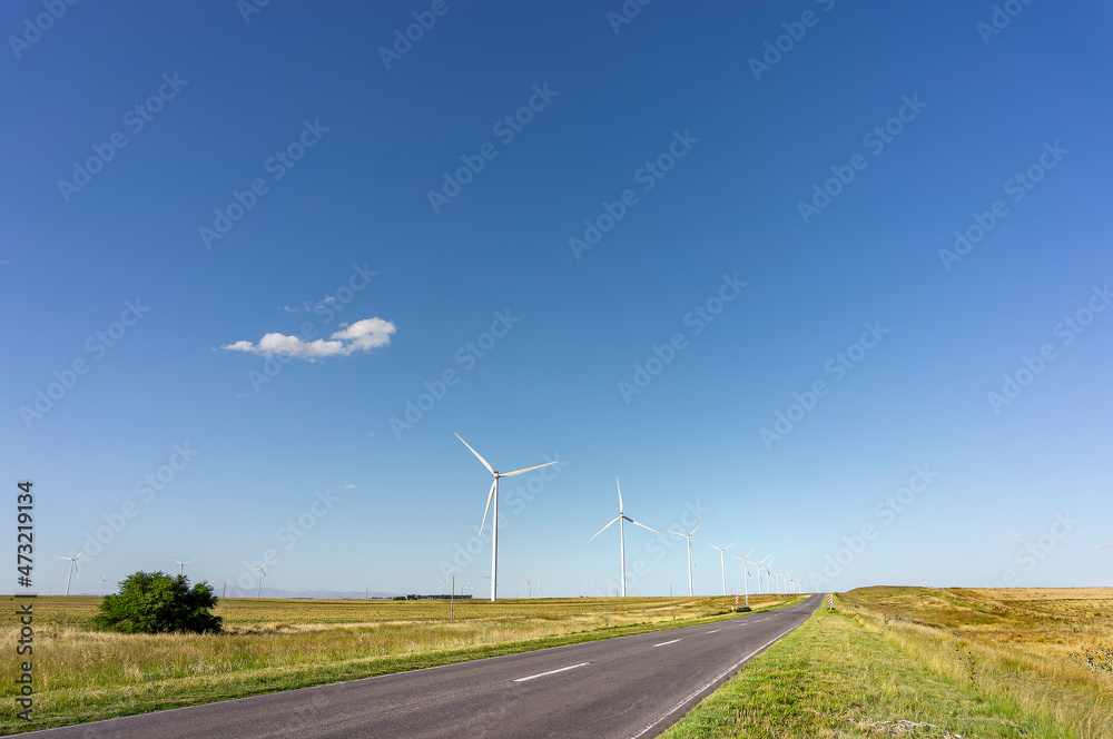 Asphalt path to the horizon surrounded by electricity generating windmills. Blue sky with a single cloud