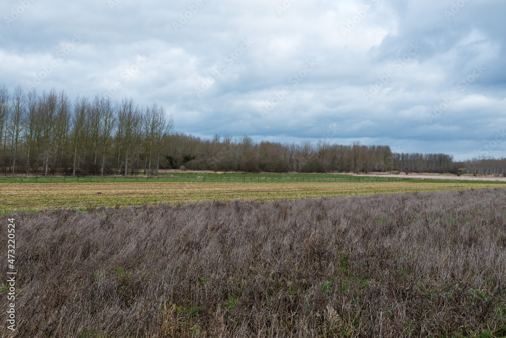 View over trees and meadows at the Belgian countryside