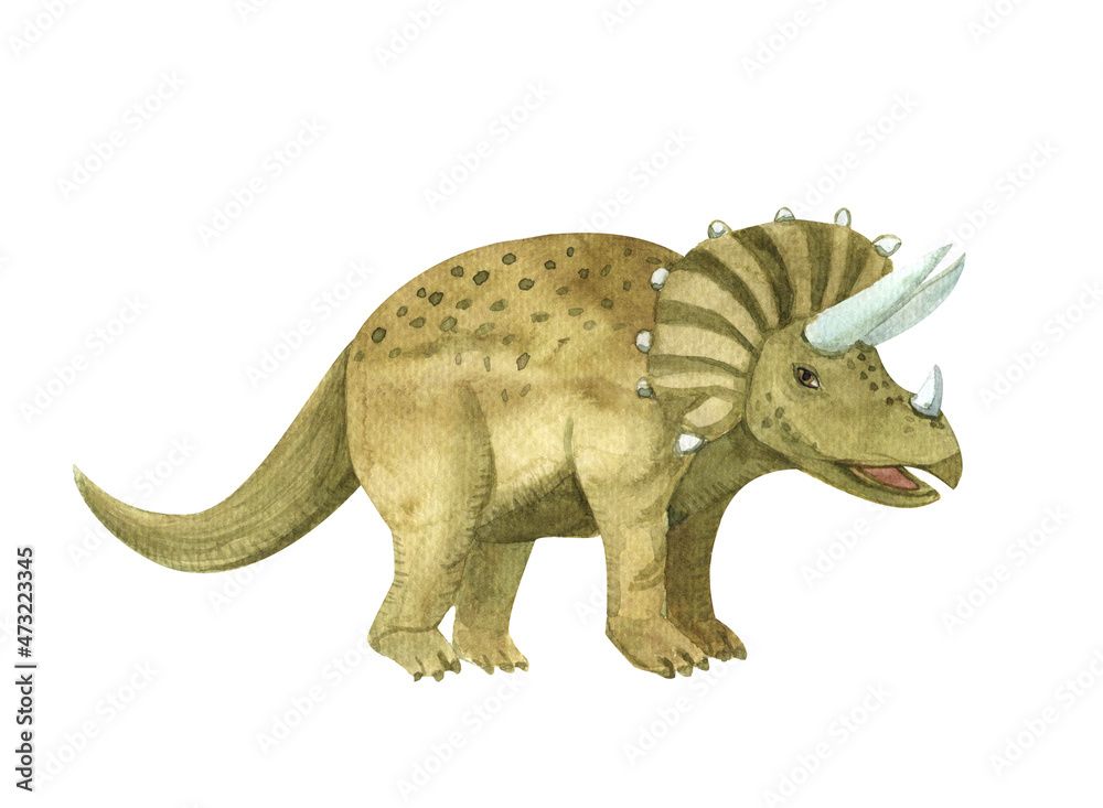 Triceratops dinosaur,watercolor drawing, children's illustration,element on a white background Triceratops dinosaur,watercolor drawing, children's illustration,element on a white background