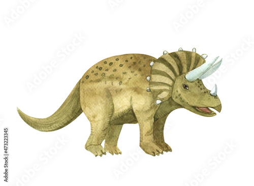 Triceratops dinosaur watercolor drawing  children s illustration element on a white background