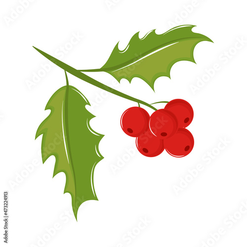 mistletoe branch berries