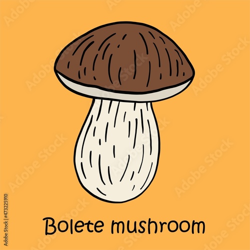doodle freehand sketch drawing of bolete mushroom.