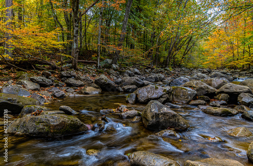 Fototapeta Naklejka Na Ścianę i Meble -  Fall Color on Lower Glade Creek, New River Gorge National Parks, West Virginia, USA