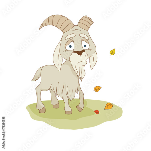 Tired, elderly goat. Vector illustration.