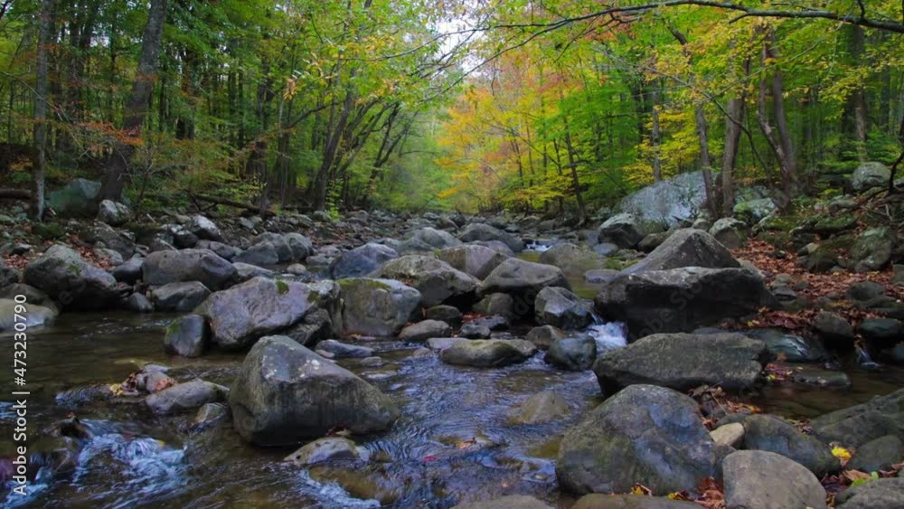 Fall Color on Lower Glade Creek, New River Gorge National Park, West Virginia, USA Fall Color on Lower Glade Creek, New River Gorge National Park, West Virginia, USA