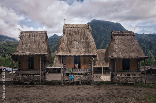 Gurusina traditional village is located in Bajawa, Flores, Indonesia. The village is currently home to 33 families belonging to 3 separate. The village looks and feels as ancient as the beliefs. photo