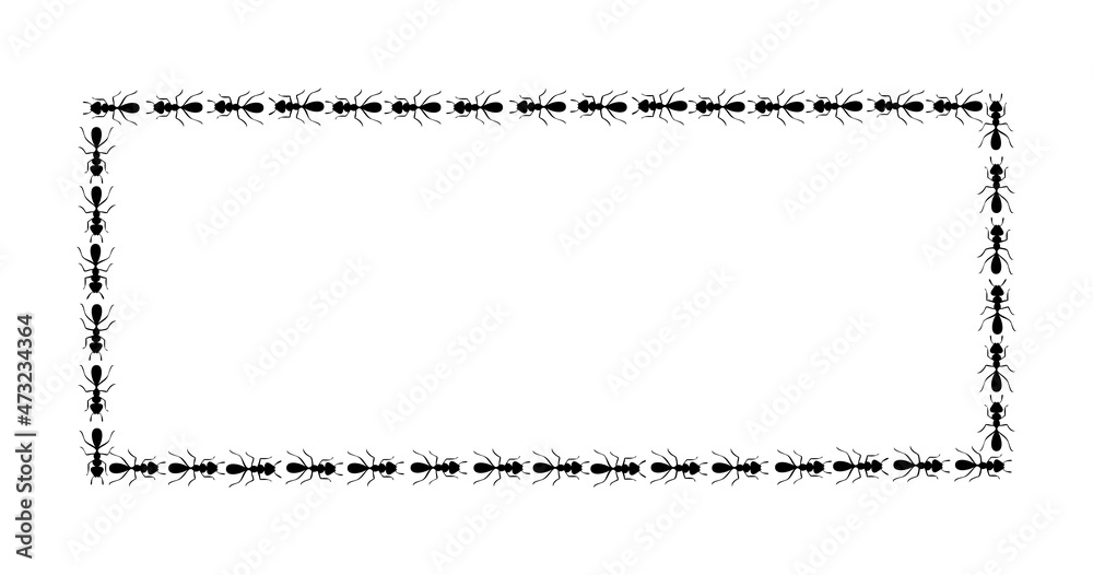 Black ants square border. Ants forming rectangular shape isolated in