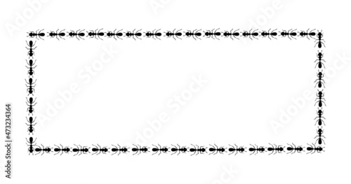 Black ants square border. Ants forming rectangular shape isolated in white background. Vector illustration