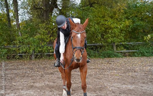 Training with the red-brown Oldenburg mare on a riding arena in autumn © BabettsBildergalerie