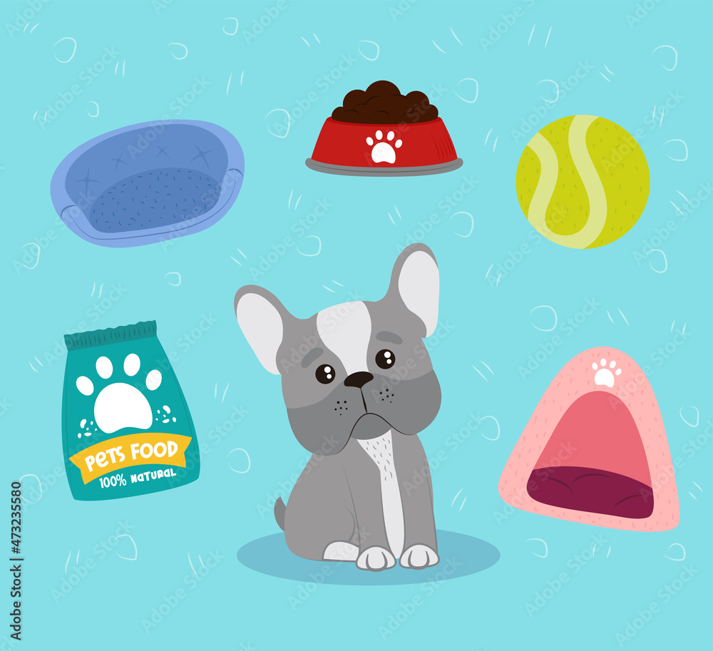 Naklejka premium pets icon set