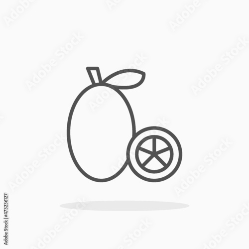 Kumquat icon. Editable Stroke and pixel perfect. Outline style. Vector illustration. Enjoy this icon for your project.