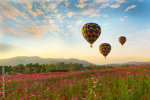 Color balloon over Beautiful Cosmos Flower in park