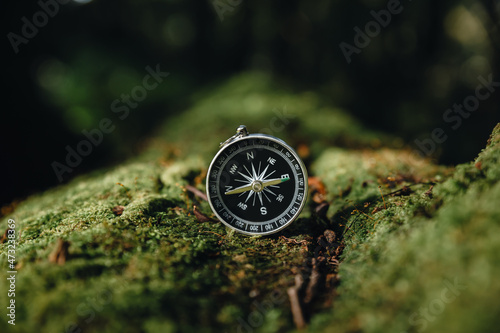 Compass on moss in the fertile forest.